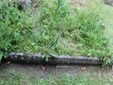 image of grave number 500655
